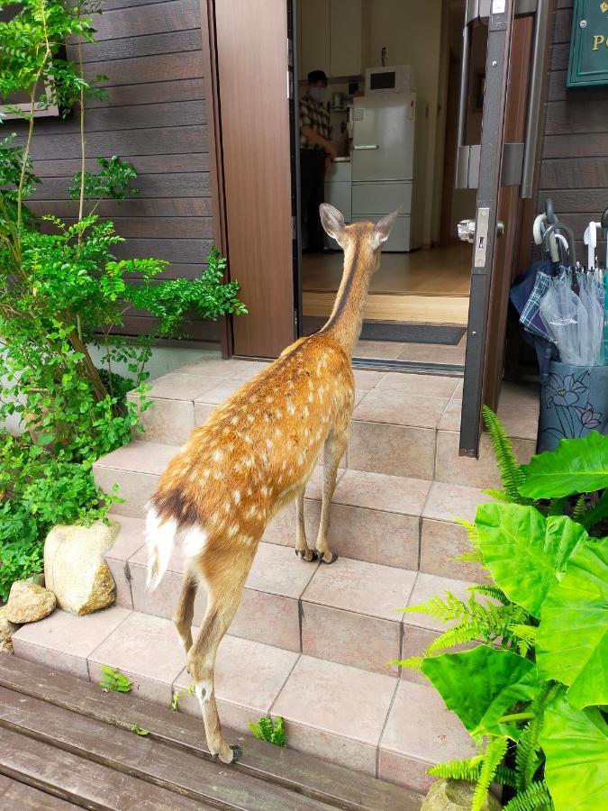 Deer Hostel- - 外国人向け - 日本人予約不可 Nara Exterior foto